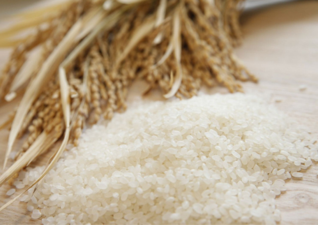 保存性の高い自然農法のミルキークイーンの玄米を農家直送