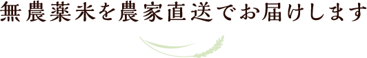 古代米や龍の瞳などの無農薬米を通販でお届けします